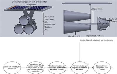 Plastic Filtration and Decomposition According to Ricochet Filtering Mechanism Using Ideonella sakaiensis